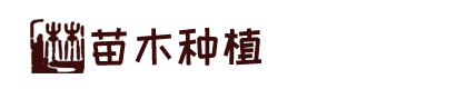 银河国际·GALAXY